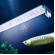 LUMINÁRIA LED AQUÁRIO 28CM YGD280 - RGB